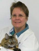 KVMA Kentucky Veterinary News