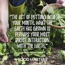 Enjoy What Mother Nature Has To Provide Www Foodmatters Com Foodmatters Fmquotes Gardening Humor Health Food Matters