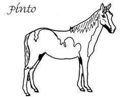 Colored edges are usually smooth and may have a blue or roaned edge (mapping). Horse Coloring Pages Learny Kids