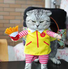 Funny Cat Outfit Funny Pet Costumes Pet Costumes Pet Costumes For Dogs