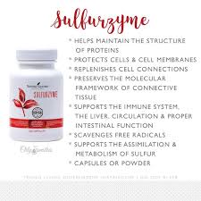 Sulfurzyme By Young Living In 2020 Young Living Supplements Essential Oils For Face Young Living Oils