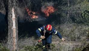 Φωτιά έχει ξεσπάσει σε δασική έκταση στην περιοχή παλαιοκαμάριζα στο λαύριο αττικής. Ikajd Usrlbjlm