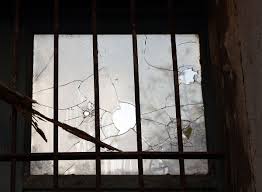 As much as 50% of all food produced in the world ends up as waste every year according to figures from the institution of mechanical engineers. Parable Of The Broken Window Wikipedia