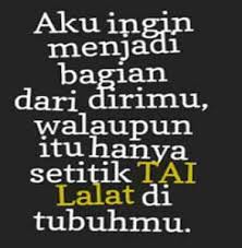 Dijamin kamu pasti ketawa terus! Kata Kata Gokil Instagram