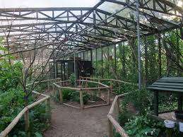 Photos Zoochat Com Large Dscf94861 143778 Jpg Bird Aviary Aviary Zoo Architecture