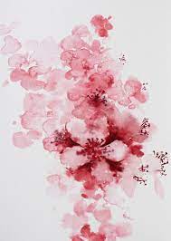 Cherry Blossom Watercolor Close Up Cherry Blossom Watercolor Cherry Blossom Art Cherry Blossom Painting