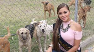 El Centro de Rescate Integral Animal CRIAR Riobamba trabaja en busca del  equilibrio entre la salud pública, el bienestar animal y la sostenibilidad  ambiental. Este albergue tiene como finalidad entregar en adopción