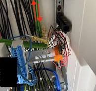 KNX wiring: electrician made “loops” (ring) per floor ...
