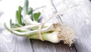 That's what i eat in a day! So Gelingt S Fruhlingszwiebeln Nachziehen Ganz Einfach Codecheck Info