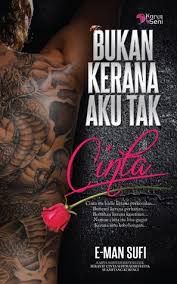 Tak ada , memang rugi la. Bukan Kerana Aku Tak Cinta By E Man Sufi