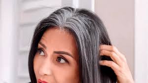 Maria Pierro è la prima rettrice donna dell'università dell'Insubria di  Varese e Como: "Lavorerò per un ateneo attento alle persone"