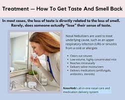 What Causes A Loss Of Taste, And How To Regain It? – Nasoneb®