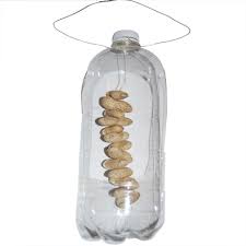 Elles sont fabriquées à partir de boîte de conserve, de bouteille en plastique, de bouteille en verre ou même. Mangeoire Bouteille Pour Les Oiseaux Tete A Modeler