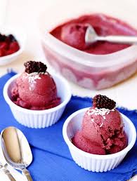 Berry Coconut Frozen Yogurt Recipe Yogurt Recipes Dessert Recipes Healthy Sweets
