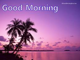 Free Good Morning Images Hd To Download Good Morning Fun Did you have a good morning today? free good morning images hd to download