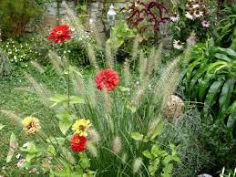 Garten im september der dortmunder garten im september gaertnerinnenblog.de. Garten Im September Topfgarten 600 Muhvie De Garten Balkon Genuss