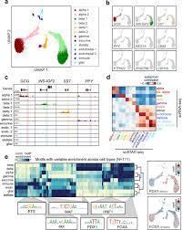 The vehicle is best known for its employment by the imperial russian army in the. Single Cell Chromatin Accessibility Reveals Pancreatic Islet Cell Type And State Specific Regulatory Programs Of Diabetes Risk Biorxiv