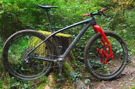 Lauf Trail Racer 29 Gabel Kurztest Lauf Gabel Kurzer