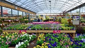 Check spelling or type a new query. Gardening Centres Could Open Within Days As Industry Faces 1 6bn Loss