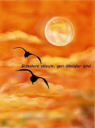 Kuslar Unutkan Olurlar Gene Gelecekler Yasar Kemal Kus Gemi