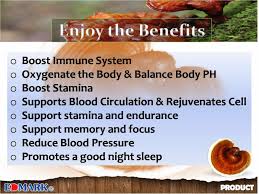 Edmark Cafe 73 Benefits To Order This Product The Number To Call In South Africa Is 081 895 4462 Healthy Coffee Natural Wellness Health
