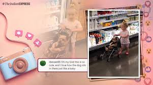 Watch Toddler Taking Her Puppy Out On A Stroller Is Melting Hearts Online Trending News The Indian Express