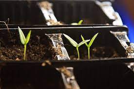 Self plant watering 25m diy micro drip irrigation garden system auto timer plant. Make Your Own Seed Capillary Mat Self Watering Trays Gardening Channel