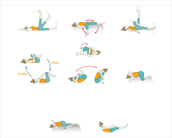 Bend the right knee and bring the heel of the right foot close to the left hip. Yoga Sequences Foundational Sequences For Yoga Teachers Tummee Com