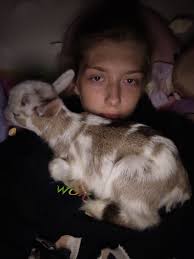 Helping cat use watering station independently