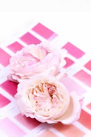 Follow this simple diy and learn how to make a wreath for your door. The Smell Of Roses The Smell Of Roses The Smell Of Roses