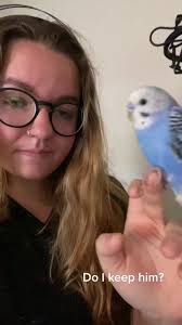 The joys of living in an apartment complex. #bird #parakeet #fyp #fypシ  #bluebird #texas #atx #mftx