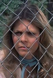 The Bionic Woman" On the Run (TV Episode 1978)