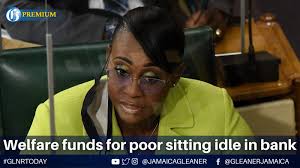 Government member of Parliament's Public Accounts Committee Juliet Holness  was peeved