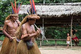 Indigenous peoples in brazil or indigenous brazilians once comprised an estimated 2000 tribes and nations inhabiting what is now the country of brazil, prior to the european contact around 1500. Covid 19 Effects On Indigenous People Of Brazil Borgen