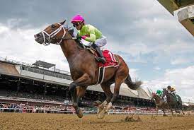 Fox sports horse racing free past performances. Upgydhcoi2oxpm