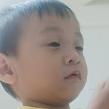 Ft/fs 1 mega mimic 1 mega df 1 mega pixie 1 mega bearbee 2 mega ckit