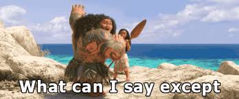 Maui You Re Welcome Meme Gif
