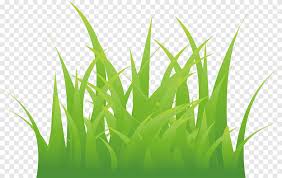 Cartoon Grass Grass Grass Material Png Pngegg Are you searching for cartoon grass png images or vector? cartoon grass grass grass material