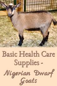 Basic Health Care Supplies Nigerian Dwarf Goats In 2020 Nigerian Dwarf Goats Dwarf Goats Goat Health