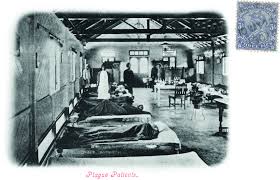 British used postcards for propaganda ...