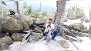 Jul 15, 2020 · village2stay lokasi : Kampung Ruat Yan Kedah Youtube