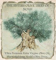 Dima Sharif Olive Oil Ice Cream The Ultra Premium Ev Olive Oil Harvested From The Oldest Living Olive Trees On Earth Vinetki Cvetochnye Kompozicii Trava