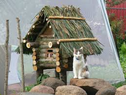 Pengusir kucing buatan sendiri yang efektif. Rumah Kucing Diy 80 Foto Dan Arahan Langkah Demi Langkah