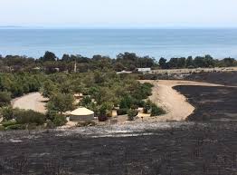 Maybe you would like to learn more about one of these? Santa Barbara Camping Santa Barbara Camping California Santa Barbara Camping El Cap Santa Barbara Camping Los Padres National Forest Downtown Santa Barbara