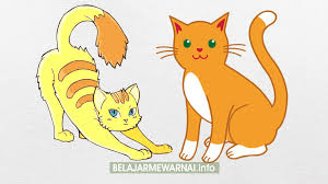 Banyak orang memelihara karena warna dan bentuk bulunya yang indah. Kumpulan Gambar Mewarnai Kucing