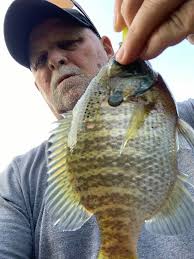 Made a couple cast this morning.