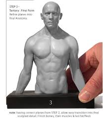 Anatomy final.torsostudy by quackamos on deviantart. Human Male Torso Anatomy Human Male And Female Torso 26parts Buy Educational Model Anatomical Model Human Torso Model Product On Alibaba Com Anatomytools Com Provides Highly Detailed Male And Female Anatomical