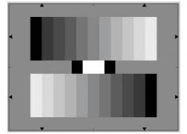 Ye0153 Grey Scale Lens Resolution Test Chart Reflective With
