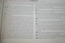 Craig keener, john walton format: Niv Cultural Backgrounds Study Bible Review Bible Buying Guide