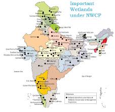 Wetlands are the ecotones or transitional zones between permanently aquatic and dry terrestrial ecosystems. Wetland Ecosystem Measures To Protect Wetlands Nwcp Pmf Ias